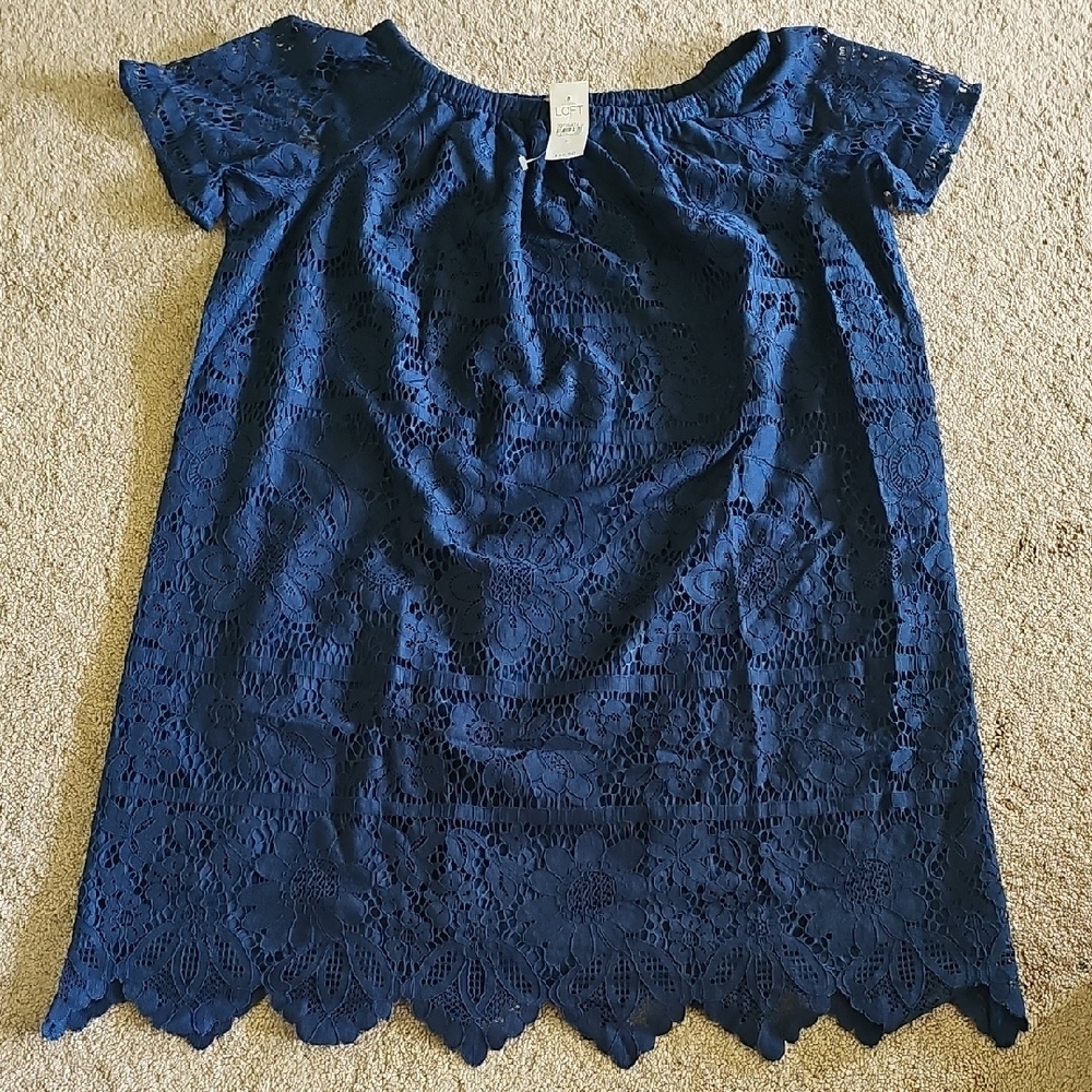 LOFT Blue Lace Skirt